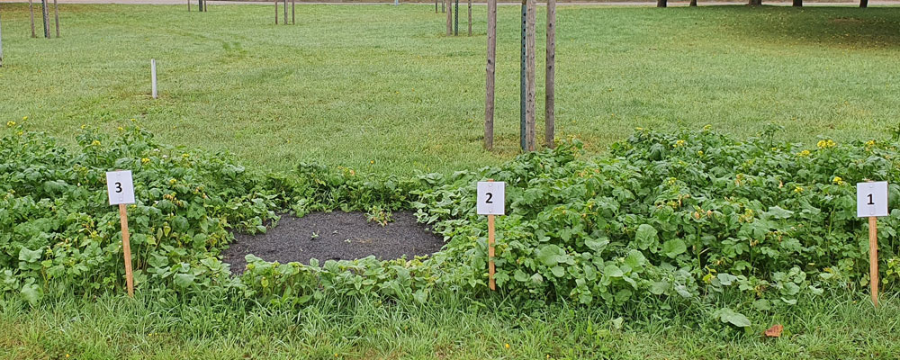 Projekte im Forschungs- und Entwicklungsbereich